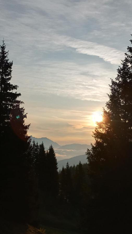 Appartmenthaus Hochkoenig Mühlbach am Hochkönig エクステリア 写真