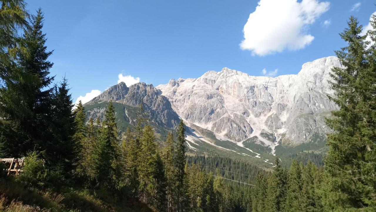 Appartmenthaus Hochkoenig Mühlbach am Hochkönig エクステリア 写真