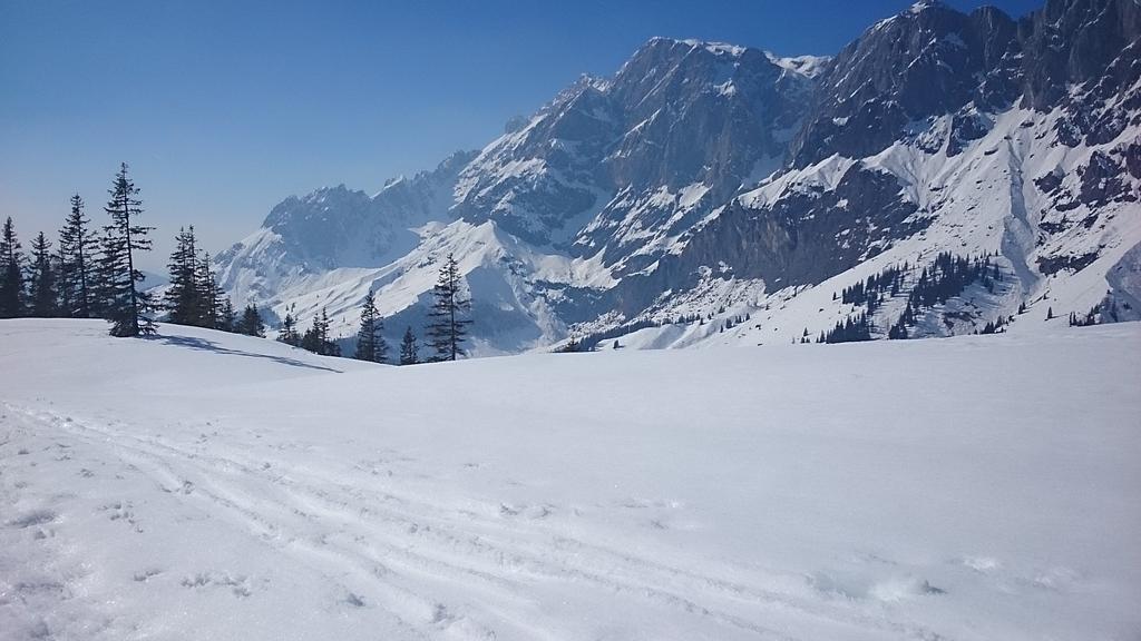 Appartmenthaus Hochkoenig Mühlbach am Hochkönig エクステリア 写真