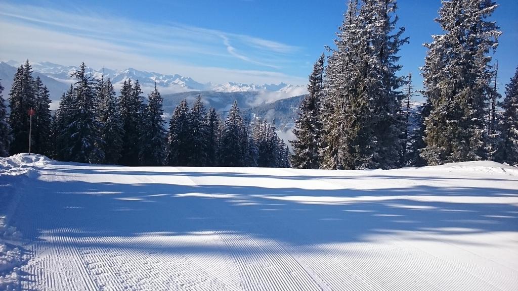 Appartmenthaus Hochkoenig Mühlbach am Hochkönig エクステリア 写真
